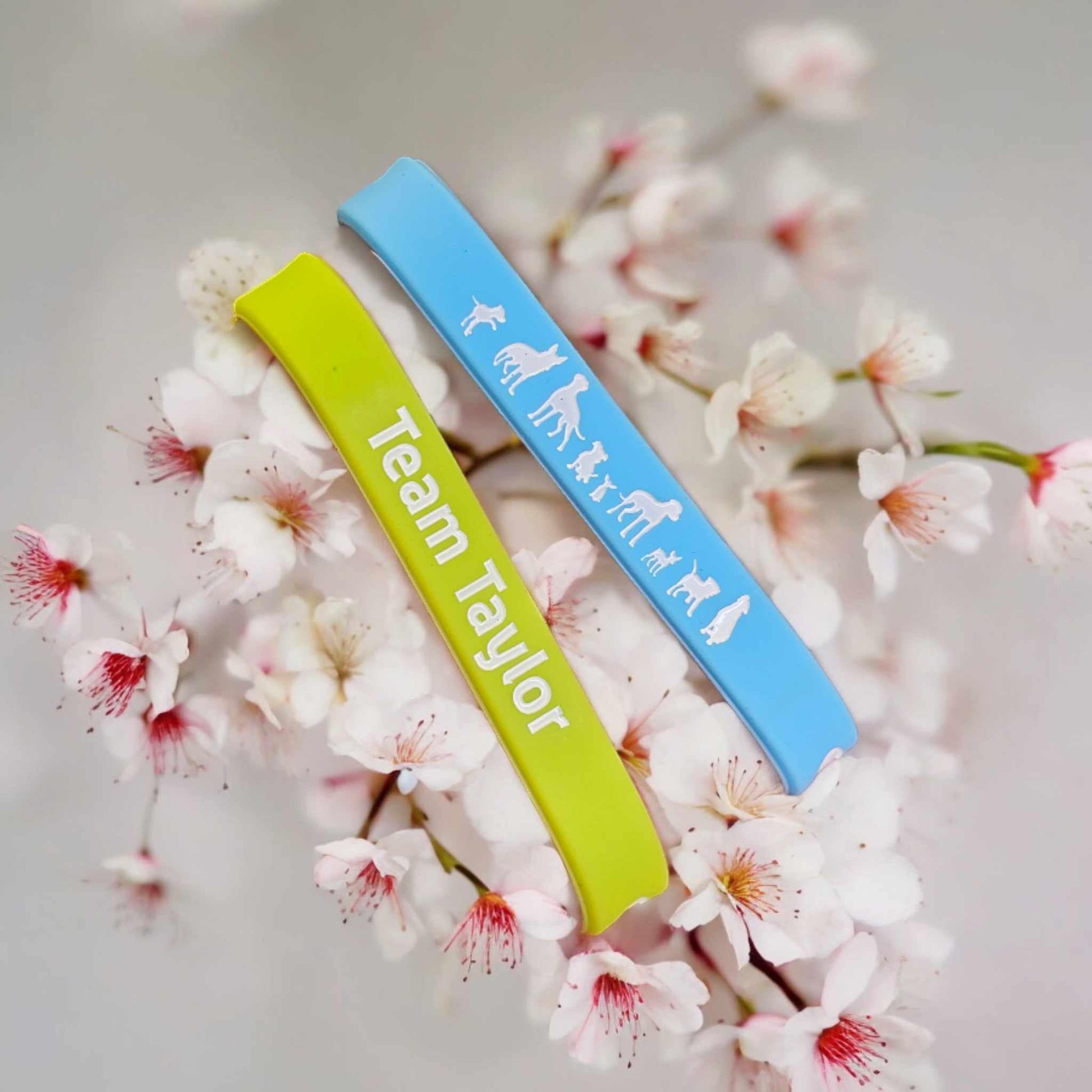 Team Taylor Bracelet